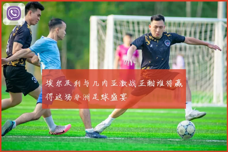 埃尔及利与几内亚激战正酣谁将赢得这场非洲足球盛宴