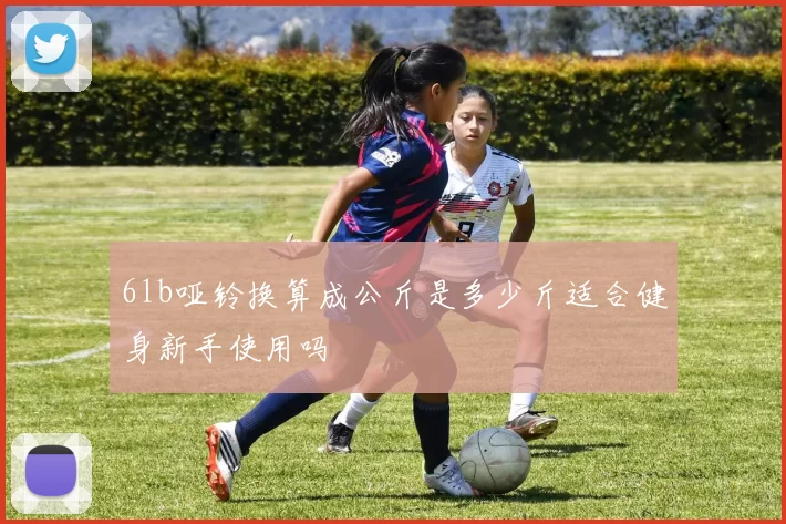 6lb哑铃换算成公斤是多少斤适合健身新手使用吗