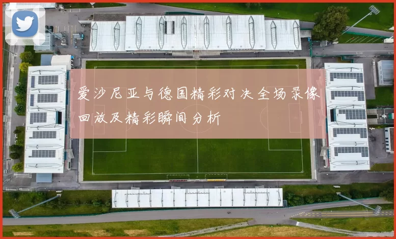 爱沙尼亚与德国精彩对决全场录像回放及精彩瞬间分析