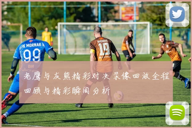 老鹰与灰熊精彩对决录像回放全程回顾与精彩瞬间分析