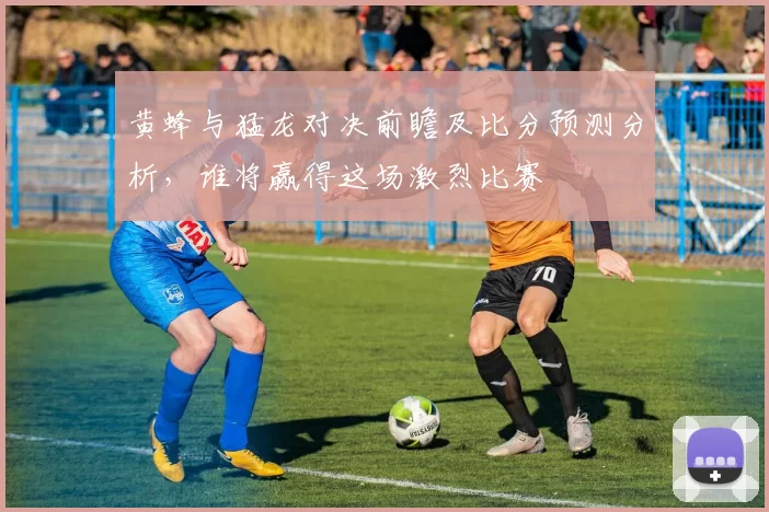 黄蜂与猛龙对决前瞻及比分预测分析，谁将赢得这场激烈比赛